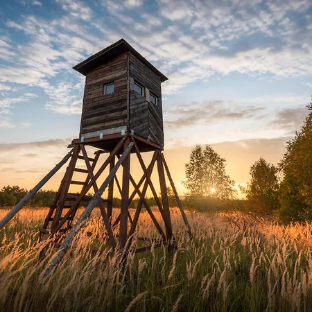 Vesna By Interhome Vila Buzet