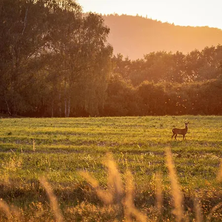 Vila Vesna By Interhome *