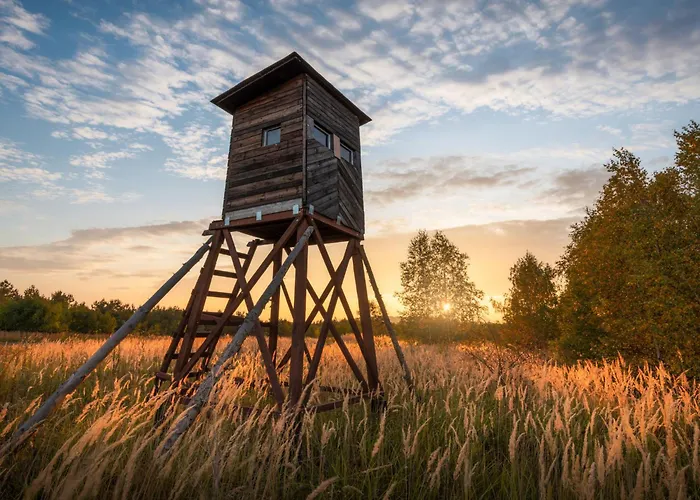 Vesna By Interhome Villa Buzet